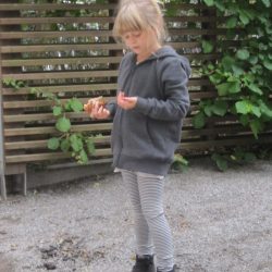 Bilder från städdagen 16 oktober 2016 img_3946